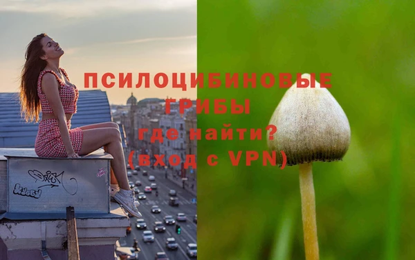 ешки Армянск