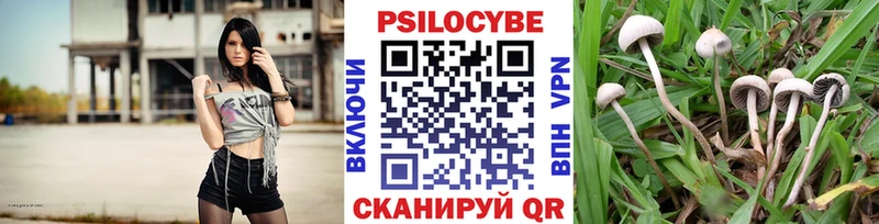 Галлюциногенные грибы MAGIC MUSHROOMS  Пущино 
