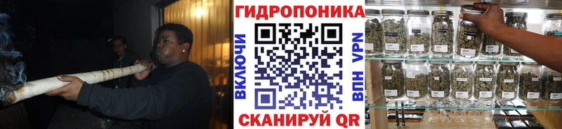 Конопля сатива  Пущино 